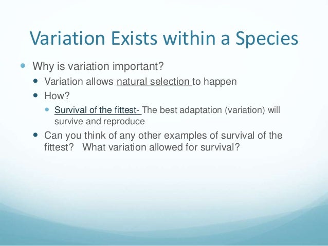 Why Is Adaptation Important In Natural Selection Why Is Adaptation Important In Natural Selection