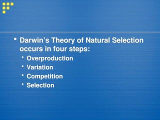  Darwin’s Theory of Natural Selection
occurs in four steps:
 Overproduction
 Variation
 Competition
 Selection
 