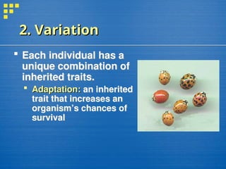2. Variation
2. Variation
 Each individual has a
unique combination of
inherited traits.
 Adaptation:
Adaptation: an inherited
trait that increases an
organism’s chances of
survival
 
