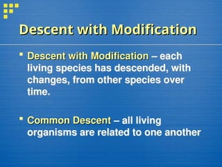 Descent with Modification
Descent with Modification
 Descent with Modification
Descent with Modification – each
living species has descended, with
changes, from other species over
time.
 Common Descent
Common Descent – all living
organisms are related to one another
 
