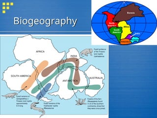 Biogeography
 