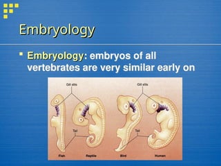 Embryology
Embryology
 Embryology
Embryology: embryos of all
vertebrates are very similar early on
 