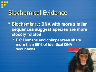 Biochemical Evidence
Biochemical Evidence
 Biochemistry
Biochemistry: DNA with more similar
sequences suggest species are more
closely related
 EX: Humans and chimpanzees share
more than 98% of identical DNA
sequences
 