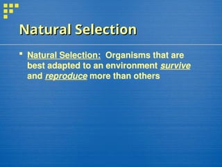 Natural Selection
Natural Selection
 Natural Selection: Organisms that are
best adapted to an environment survive
and reproduce more than others
 
