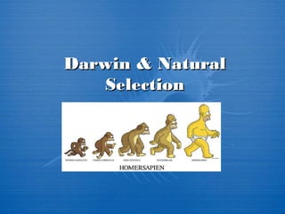 Darwin & NaturalDarwin & Natural
SelectionSelection
 