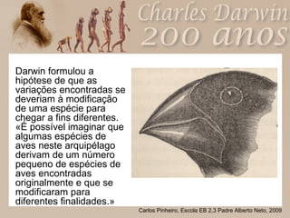 Darwin formulou a hipótese de que as variações encontradas se deveriam à modificação de uma espécie para chegar a fins diferentes. «É possível imaginar que algumas espécies de aves neste arquipélago derivam de um número pequeno de espécies de aves encontradas originalmente e que se modificaram para diferentes finalidades.»  