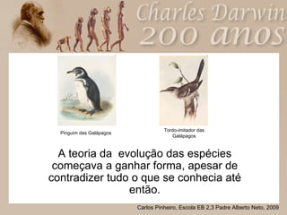 A teoria da  evolução das espécies começava a ganhar forma, apesar de contradizer tudo o que se conhecia até então. Pinguim das Galápagos Tordo-imitador das Galápagos 