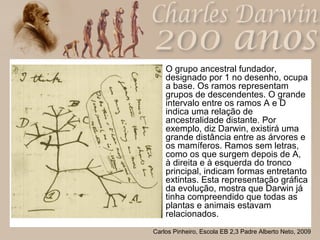 O grupo ancestral fundador, designado por 1 no desenho, ocupa a base. Os ramos representam grupos de descendentes. O grande intervalo entre os ramos A e D indica uma relação de ancestralidade distante. Por exemplo, diz Darwin, existirá uma grande distância entre as árvores e os mamíferos. Ramos sem letras, como os que surgem depois de A, à direita e à esquerda do tronco principal, indicam formas entretanto extintas. Esta representação gráfica da evolução, mostra que Darwin já tinha compreendido que todas as plantas e animais estavam relacionados. 