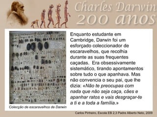 Enquanto estudante em Cambridge, Darwin foi um esforçado coleccionador de escaravelhos, que recolhia durante as suas frequentes caçadas.  Era obsessivamente sistemático, tirando apontamentos sobre tudo o que apanhava. Mas não convencia o seu pai, que lhe dizia: « Não te preocupas com nada que não seja caça, cães e apanhar ratos e vais desgraçar-te a ti e a toda a família .» Colecção de escaravelhos de Darwin 