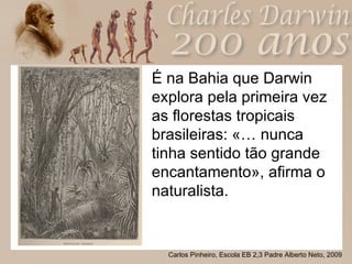 <ul><li>É na Bahia que Darwin explora pela primeira vez as florestas tropicais brasileiras: «… nunca tinha sentido tão gra...