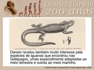 <ul><li>Darwin revelou também muito interesse pela espécies de iguanas que encontrou nas Galápagos, umas especialmente ada...