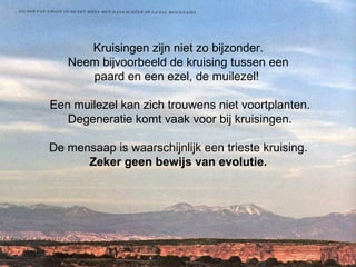 Kruisingen zijn niet zo bijzonder.  Neem bijvoorbeeld de kruising tussen een  paard en een ezel, de muilezel!  Een muilezel kan zich trouwens niet voortplanten. Degeneratie komt vaak voor bij kruisingen. De mensaap is waarschijnlijk een trieste kruising.  Zeker geen bewijs van evolutie.     