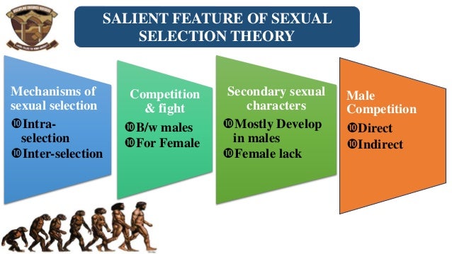 Darwin Sexual Selction Pangensis And Artificial Theory