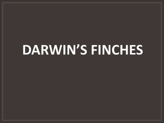 Darwin's Finches, 20th Century Business, and APIs Slide 2