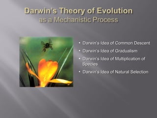 • Darwin’s Idea of Common Descent
• Darwin’s Idea of Gradualism
• Darwin’s Idea of Multiplication of
Species
• Darwin’s Idea of Natural Selection

 