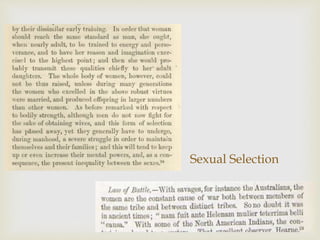 Sexual Selection 
 