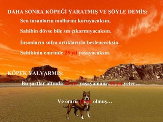 DAHA SONRA KÖPEĞİ YARATMIŞ VE ŞÖYLE DEMİŞ:   Sen insanların mallarını koruyacaksın,  Sahibin dövse bile ses çıkarmıyacaksın.   İnsanların sofra artıklarıyla besleneceksin.   Sahibinin emrinde  25 yıl  yaşayacaksın.   KÖPEK YALVARMIŞ:   Bu şartlar altında   25 yıl   yaşayamam ,  15 yıl   yeter… Ve ömrü   15 yıl   olmuş… 
