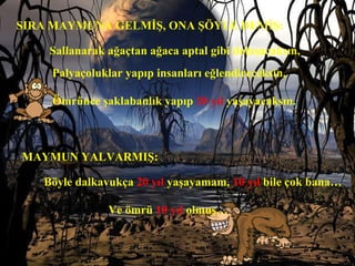 SIRA MAYMUNA GELMİŞ, ONA ŞÖYLE DEMİŞ:   Sallanarak ağaçtan ağaca aptal gibi dolaşacaksın,  Palyaçoluklar yapıp insanları eğlendireceksin,   Ömrünce şaklabanlık yapıp   20 yıl   yaşayacaksın.   MAYMUN YALVARMIŞ:   Böyle dalkavukça   20 yıl   yaşayamam,   10 yıl   bile çok bana… Ve ömrü   10 yıl   olmuş… 