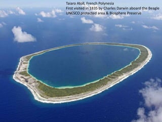 Taiaro Atoll, French Polynesia
First visited in 1835 by Charles Darwin aboard the Beagle
UNESCO protected area & Biosphere Preserve
 