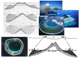 Darwin the Geologist