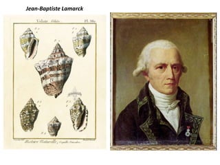 Jean-Baptiste Lamarck
 