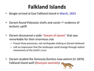 Falkland Islands
• Beagle arrived at East Falkland Island in March, 1833
• Darwin found Paleozoic shells and corals  evidence of
tectonic uplift
• Darwin discovered a wide “stream of stones” that was
remarkable for their enormous size
– Freeze-thaw processes, not earthquake shaking as Darwin believed
– Left an impression that the landscape could change through violent
movements of the Earth’s crust
• Darwin studied the famously fearless now-extinct (in 1876)
Falkland Island wolf (Dusicyon australis)
 