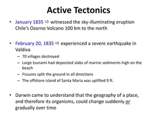 Active Tectonics
• January 1835  witnessed the sky-illuminating eruption
Chile’s Osorno Volcano 100 km to the north
• February 20, 1835  experienced a severe earthquake in
Valdiva
– 70 villages destroyed
– Large tsunami had deposited slabs of marine sediments high on the
beach
– Fissures split the ground in all directions
– The offshore island of Santa Maria was uplifted 9 ft.
• Darwin came to understand that the geography of a place,
and therefore its organisms, could change suddenly or
gradually over time
 