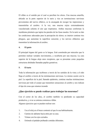 El olfato es el sentido por el cual se perciben los olores. Una mucosa amarilla,
ubicada en la parte superior de la nariz y rica en terminaciones nerviosas
provenientes del nervio olfativo, es la encargada de recoger las impresiones y
transmitirlas al cerebro. A la vez, una mucosa rojiza extremadamente
vascularizada calienta el aire que respiramos. Ambas mucosas conforman la
membrana pituitaria que tapiza las paredes de las fosas nasales. En la nariz se dan
las condiciones adecuadas para la percepción de olores; su interior contiene tres
pliegues, que aumentan la superficie sensorial, y los nervios olfatorios que
transmiten la información al cerebro.
4. El gusto
El principal órgano del gusto es la lengua. Está constituida por músculos que le
permiten realizar variados movimientos, y recubierta por una mucosa. La cara
superior de la lengua aloja unos receptores, que se presentan como pequeñas
estructuras abultadas llamadas papilas gustativas.
5. El tacto
Toda la información que recibimos a través de los sentidos de la vista y el oído
llega al cerebro a través de las terminaciones nerviosas. Lo mismo ocurre con la
piel. La superficie de la piel, llamada epidermis, contiene muchas terminaciones
nerviosas por todo el cuerpo que transmiten sensaciones al cerebro y nos indican
el tipo de cosas que estamos tocando
¿Que ejercicio se puede realizar para trabajar las neuronas?
Con el correr de los años, el cerebro también va perdiendo su capacidad
productiva, y si no se entrena comienza a fallar.
Algunos ejercicios que se pueden realizar son:
1. Use el reloj en el brazo contrario al que lo usa habitualmente.
2. Camine de adelante hacia atrás por su casa.
3. Vístase con los ojos cerrados.
4. Estimule el paladar probando comidas diferentes.
 