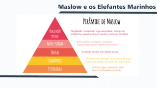 Maslow e os Elefantes Marinhos
 