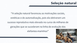 Seleção natural
“A seleção natural favoreceu as motivações sociais,
estéticas e de autorealização, pois ela obtiveram um
sucesso reprodutivo mais elevado no curso de milhares de
gerações que se sucederam na linha de evolução dos
elefantes-marinhos”
 