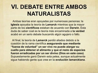 VI. DEBATE ENTRE AMBOS
NATURALISTAS
Ambas teorías eran apoyadas por numerosas personas: la
Iglesia apoyaba la teoría de Lamarck mientras que la mayor
parte de los científicos estaban de acuerdo con Darwin. Esta
duda de saber cúal es la teoría más encaminada a la verdad
acabó en un serio debate buscando algún agujero o fallo.
Al final, la teoría de Lamarck perdió aliados debido a la
cuestión de la rama científica asegurando que mediante
“fuerza de voluntad” un ser vivo no puede alargar su
cuello para obtener el alimento y que el resto de especies
fueron erradicadas por un ser divino (Dios en este caso).
Supuestamente ganó Darwin esta pelea, aunque actualmente
sigue habiendo gente que cree en la evolución lamarckiana.

 