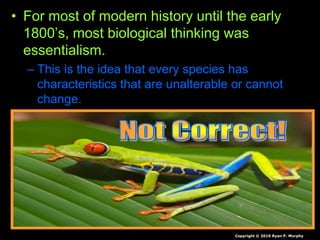 • For most of modern history until the early
1800’s, most biological thinking was
essentialism.
– This is the idea that every species has
characteristics that are unalterable or cannot
change.
Copyright © 2010 Ryan P. Murphy
 