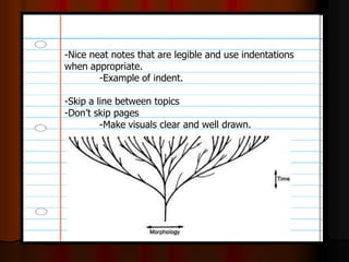 -Nice neat notes that are legible and use indentations
when appropriate.
-Example of indent.
-Skip a line between topics
-Don’t skip pages
-Make visuals clear and well drawn.
 
