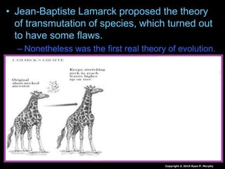 • Jean-Baptiste Lamarck proposed the theory
of transmutation of species, which turned out
to have some flaws.
– Nonetheless was the first real theory of evolution.
Copyright © 2010 Ryan P. Murphy
 