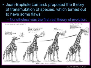 • Jean-Baptiste Lamarck proposed the theory
of transmutation of species, which turned out
to have some flaws.
– Nonetheless was the first real theory of evolution.
Copyright © 2010 Ryan P. Murphy
 
