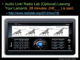 • Audio Link! Radio Lab (Optional) Leaving
Your Lamarck. 28 minutes. (HE_ _ ) is said.
– http://www.radiolab.org/2012/nov/19/
Copyright © 2010 Ryan P. Murphy
 