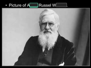• Picture of Alfred Russel Wallace.
 
