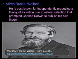 • Alfred Russel Wallace
– He is best known for independently proposing a
theory of evolution due to natural selection that
prompted Charles Darwin to publish his own
theory.
Why Darwin and not Wallace? Learn more at…
http://www.bbc.co.uk/news/uk-wales-21549079
 