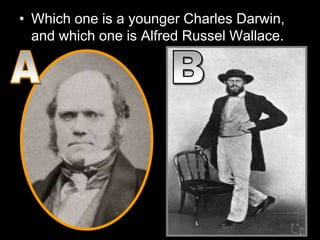• Which one is a younger Charles Darwin,
and which one is Alfred Russel Wallace.
 