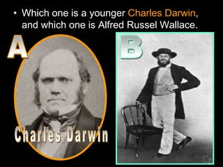 • Which one is a younger Charles Darwin,
and which one is Alfred Russel Wallace.
 