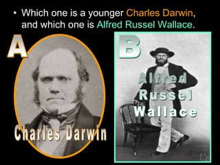 • Which one is a younger Charles Darwin,
and which one is Alfred Russel Wallace.
 