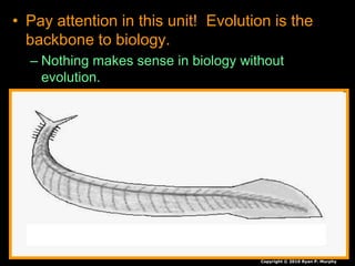 • Pay attention in this unit! Evolution is the
backbone to biology.
– Nothing makes sense in biology without
evolution.
Copyright © 2010 Ryan P. Murphy
 