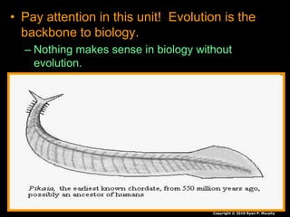 • Pay attention in this unit! Evolution is the
backbone to biology.
– Nothing makes sense in biology without
evolution.
Copyright © 2010 Ryan P. Murphy
 