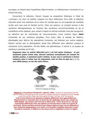 sauvages, en faisant deux hypothèses déterminantes: un sélectionneur omniscient et un
temps très long.

    Concernant la sélection, Darwin hausse sa proposition théorique à l'état de
« principe » et, pour se justifier, s'appuie sur deux références. D'un côté, la sélection
naturelle serait une extension de la vision du combat pour la vie proposée par Candolle
(p.46) ainsi que Lyell et Herbert (p.51). Chez ces auteurs, ce concept renvoie à des
variations démographiques en fonction des conditions environnementales et de la
compétition entre espèces, pour autant l'impact en termes évolutifs n'est pas soupçonné.
La sélection par les contraintes de l'environnement, d'une certaine façon réduit
l'ensemble de ces variations possibles. D'un autre côté, la pensée de Malthus,
développée pour décrire les populations humaines, est étendue aux autres espèces.
Darwin conclut que la démographie serait très différente sans sélection puisque la
croissance d'une population, fût-elle faible, est géométrique. Il donne à ce propos de
nombreux exemples (p.47-49) :
     Supposons dans un endroit déterminé qu’il y ait huit paires d’oiseaux, et que
     seulement quatre d’entre elles, donnent naissance annuellement (en incluant les
     doubles pontes), à seulement quatre oisillons, et que ceux-ci continuent à donner
     naissance selon le même taux de progression, alors au bout de sept ans (…) il y
     aura 2048 oiseaux, au lieu des seize initiaux.




      Figure 2 : Les pinsons de Darwin. (Darwin, 1845 : Journal of researches into the
     natural history and geology of the countries visited during the voyage of H.M.S. Beagle
             round the world, under the Command of Capt. Fitz Roy, R.N. 2d edition).
         C’est le nom donné à une douzaine d’espèces différentes mais apparentées que
      Charles Darwin a recensées dans la faune des îles Galápagos durant son voyage sur
      l'HMS Beagle. Ces oiseaux sont tous de la même taille : entre 10 et 20 cm. Les plus
        importantes différences entre ces espèces se trouvent dans la taille et la forme de
     leurs becs. Darwin prendra conscience que chaque espèce occupe une île différente et
      que l'isolement géographique a pu mener à la formation d'espèces distinctes à partir
       d'ancêtres communs. Il établira un lien direct entre la végétation et donc le régime

                                                                                               4
 