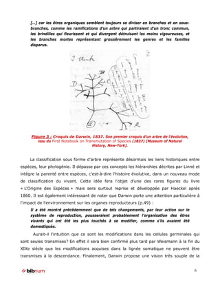[…] car les êtres organiques semblent toujours se diviser en branches et en sous-
     branches, comme les ramifications d’un arbre qui partiraient d’un tronc commun,
     les brindilles qui fleurissent et qui divergent détruisant les moins vigoureuses, et
     les branches mortes représentant grossièrement les genres et les familles
     disparus.




     Figure 3 : Croquis de Darwin, 1837. Son premier croquis d’un arbre de l’évolution,
        issu du First Notebook on Transmutation of Species (1837) [Museum of Natural
                                      History, New-York].


    La classification sous forme d'arbre représente désormais les liens historiques entre
espèces, leur phylogénie. Il dépasse par ces concepts les hiérarchies décrites par Linné et
intègre la parenté entre espèces, c'est-à-dire l'histoire évolutive, dans un nouveau mode
de classification du vivant. Cette idée fera l'objet d'une des rares figures du livre
« L'Origine des Espèces » mais sera surtout reprise et développée par Haeckel après
1860. Il est également intéressant de noter que Darwin porte une attention particulière à
l'impact de l'environnement sur les organes reproducteurs (p.49) :
     Il a été montré précédemment que de tels changements, par leur action sur le
     système de reproduction, pousseraient probablement l’organisation des êtres
     vivants qui ont été les plus touchés à se modifier, comme s’ils avaient été
     domestiqués.

      Aurait-il l'intuition que ce sont les modifications dans les cellules germinales qui
sont seules transmises? En effet il sera bien confirmé plus tard par Weismann à la fin du
XIXe siècle que les modifications acquises dans la lignée somatique ne peuvent être
transmises à la descendance. Finalement, Darwin propose une vision très souple de la


                                                                                            6
 