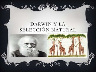 DARWIN Y LA
SELECCIÓN NATURAL
 