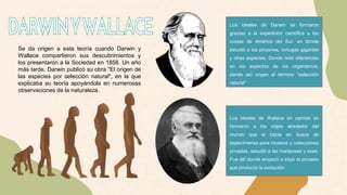 Darwin y wallace