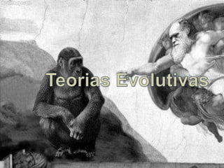 Criacionismo, Lamarckismo, Darwinismo e Teoria Sintética da Evolução
 