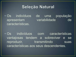 • Os indivíduos
apresentam
características.

de uma população
variabilidade
de

• Os
indivíduos
com
características
vantajosas tendem a sobreviver e se
reproduzir,
transmitindo
suas
características aos seus descendentes.

 