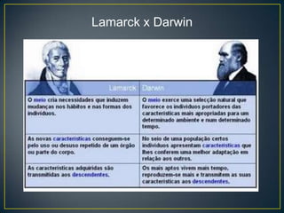 Lamarck x Darwin

 